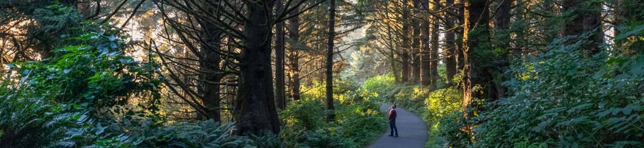 Washington Coast Vacation Rentals on Long Beach Bloomer Estates